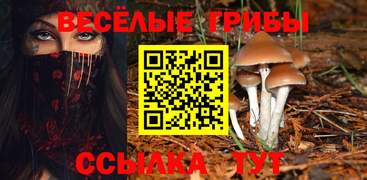 Псилоцибиновые грибы мухоморы  Вход с VPN  Отрадный 