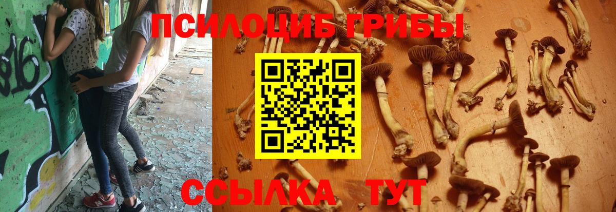 Галлюциногенные грибы мицелий Отрадный